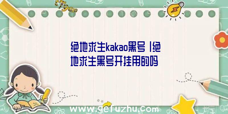 「绝地求生kakao黑号」|绝地求生黑号开挂用的吗